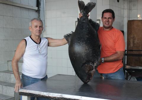 Tambaqui de R$ 1.500,00 é capturado no interior do Amazonas